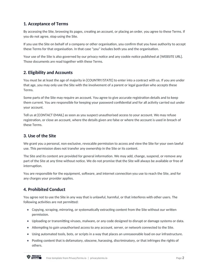 Terms and Conditions (Website template): page 1 preview