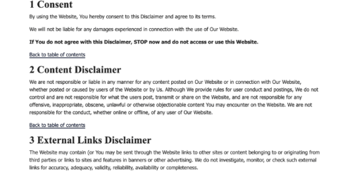 privacyterms.io disclaimer example of policy
